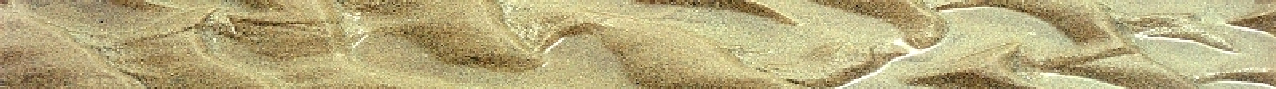 wp7186f4d4.png