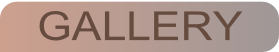 wp09f5d34d.png