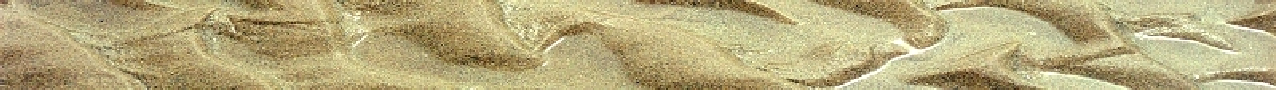wp495cbf83.png