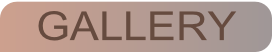 wpc0e838c8.png